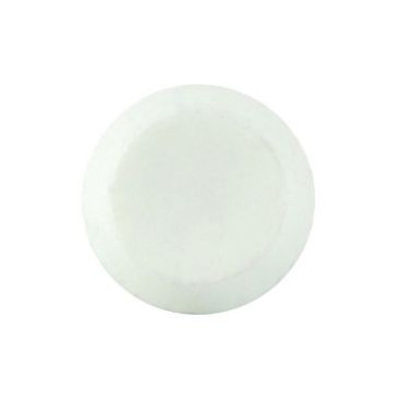 Boîte de 100 clous inox pour fixation bandeau couleur Blanc Nicoll | CI65B