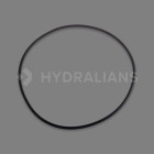 Image du produit : Joint de corps hcp4000 / hcp4200 HAYWARD | 500100130004