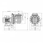 Image du produit : Pompe filtration Sta-Rite triphasée - LA STARITE - 0.55kW PENTAIR | P-STR-073