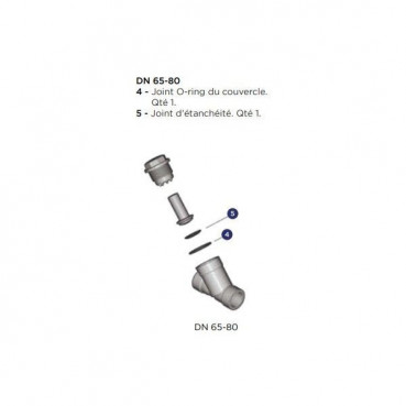 Kit de joint pour clapet de retenue - Diamètre extérieur : 75 mm ALIAXIS | VR175EPM