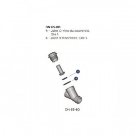 Kit de joint pour clapet de retenue - Diamètre extérieur : 90 mm ALIAXIS | VR190EPM