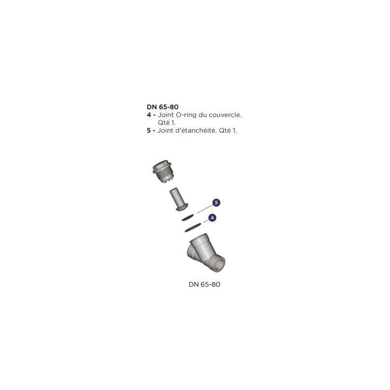 Kit de joint pour clapet de retenue - Diamètre extérieur : 90 mm ALIAXIS | VR190EPM